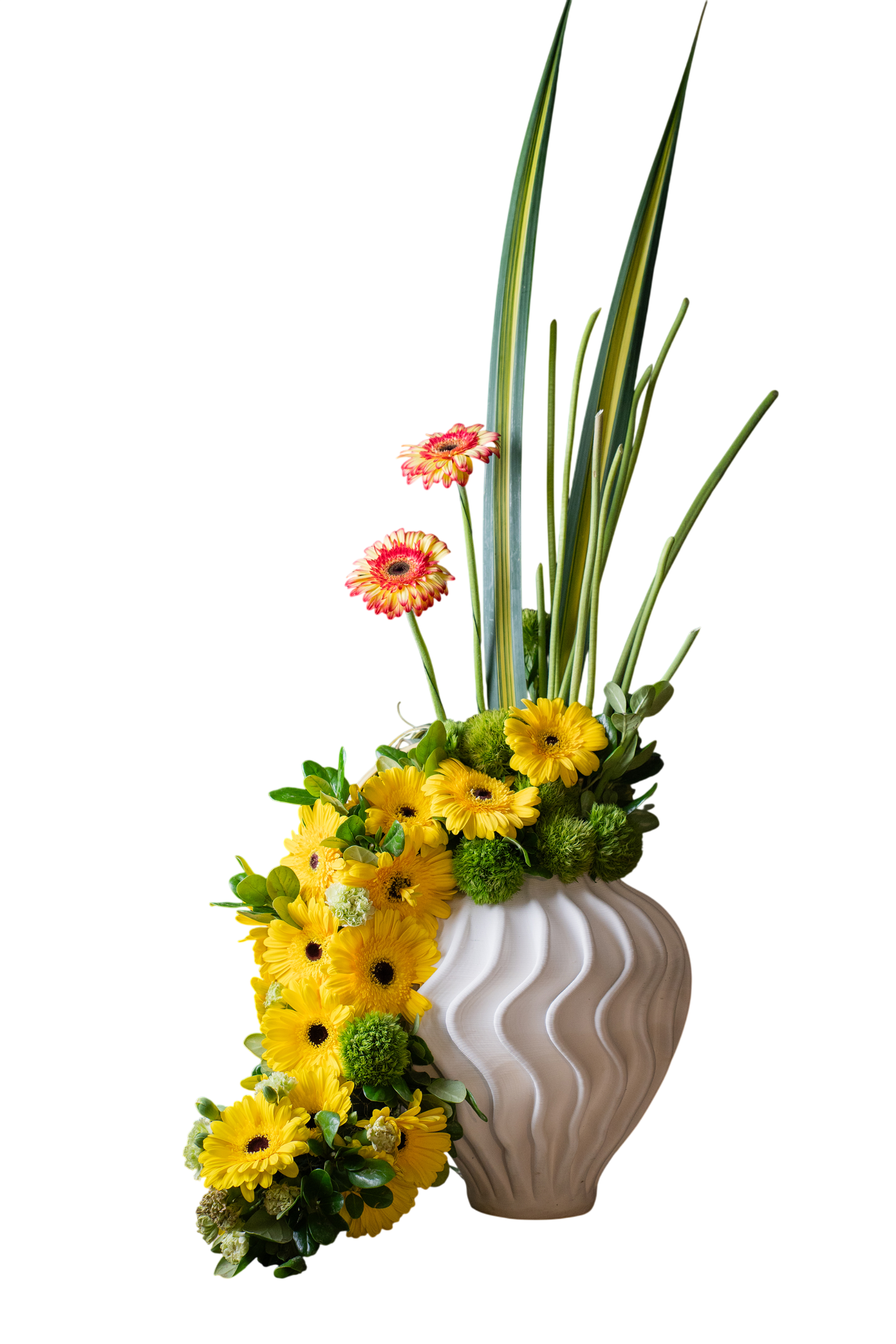 Arreglo Floral Natural Vértice – Gerberas, Green Ball y Pandano Base porcelana 3D