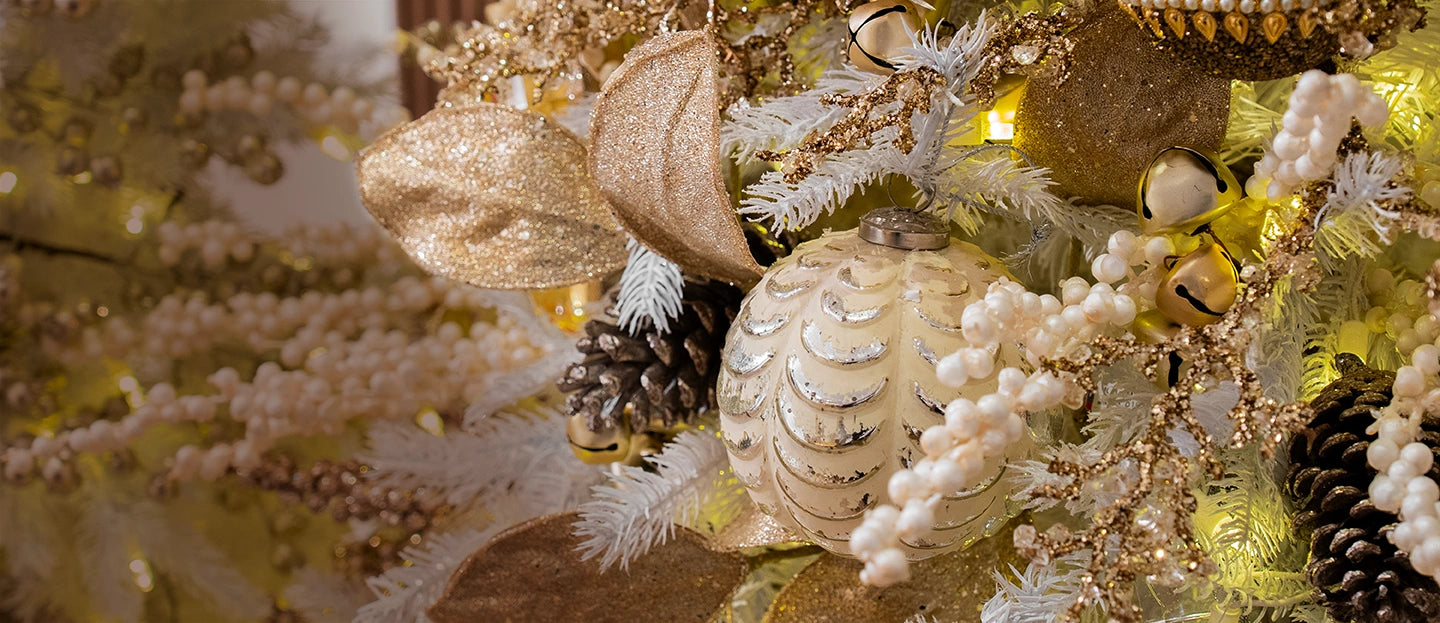 collection-banner-image