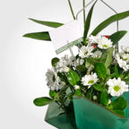 Dendrobium | Arreglo de Orquídea Natural