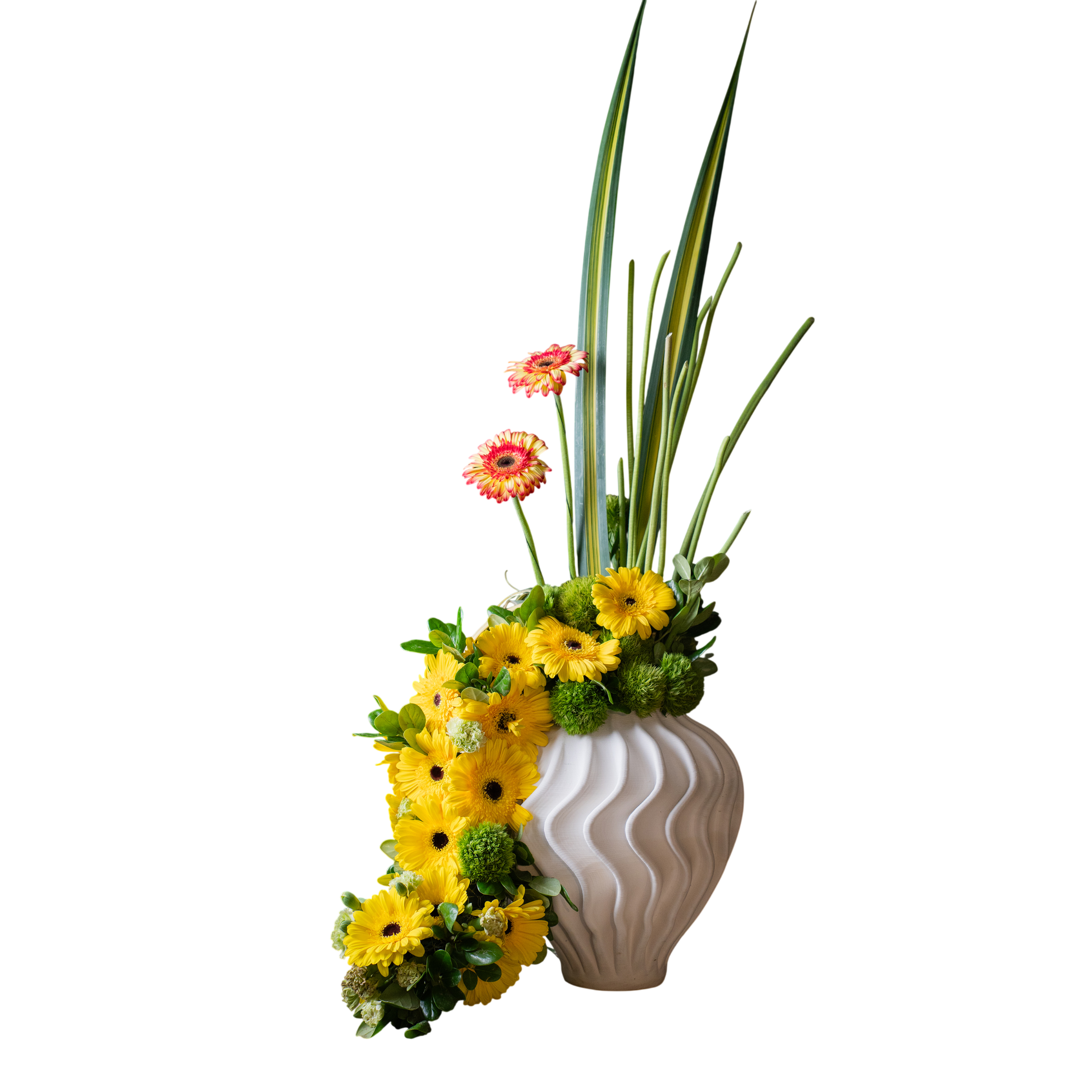 Arreglo Floral Natural Vértice – Gerberas, Green Ball y Pandano Base porcelana 3D