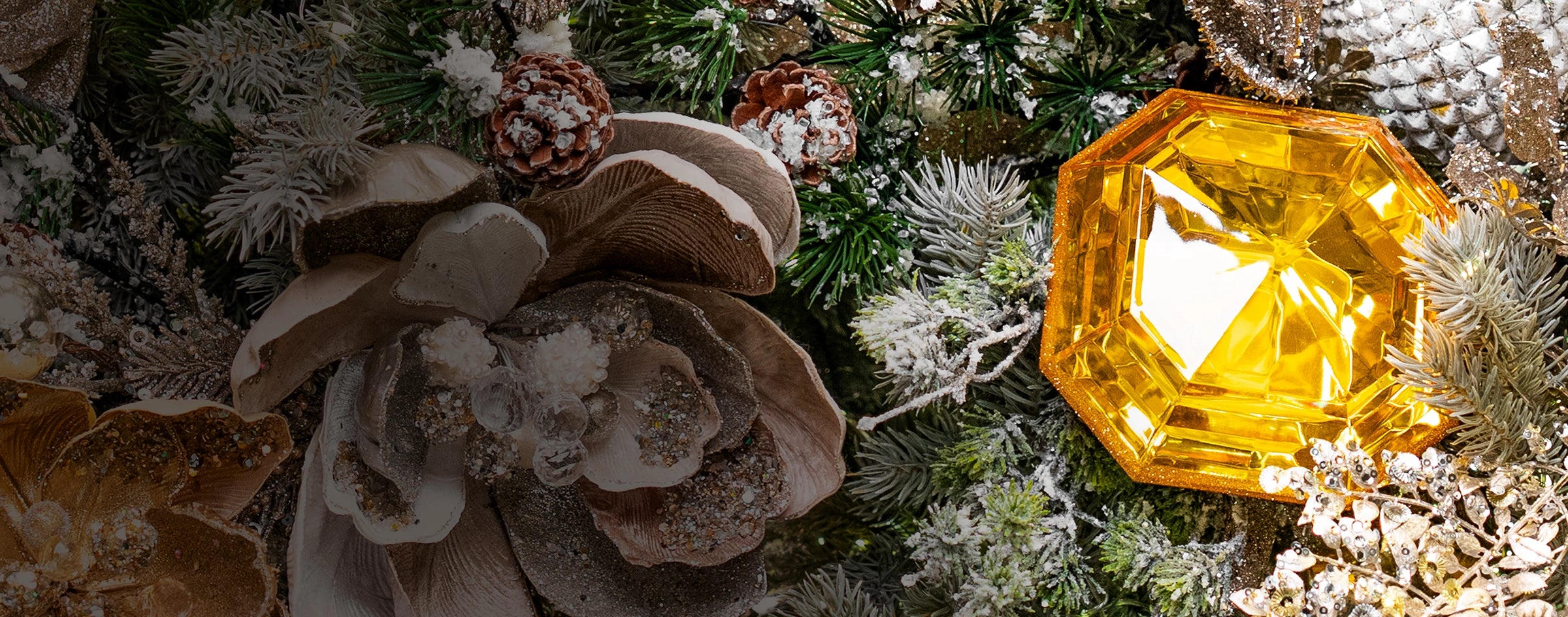 collection-banner-image