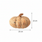 Medidas calabaza decorativa vintage crema achatada 25cm ancho con cotas externas ficha técnica Halloween Acción de Gracias