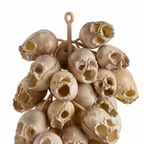 Zoom detalle racimo colgante calaveras plástico color hueso envejecido cuencas huecas Halloween 30cm