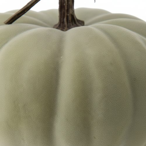 Zoom detalle calabaza decorativa látex verde sage plana Cinderella 13x23cm acabado mate aterciopelado tallo asimétrico