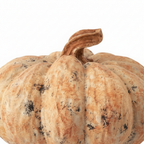 Zoom detalle calabaza decorativa vintage crema beige achatada textura rugosa envejecida 25cm Halloween Acción de Gracias
