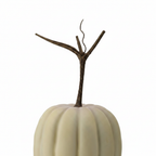 Zoom detalle calabaza decorativa látex marfil beige 20cm costillas amplias tallo ramificado en Y escultórico Acción de Gracias