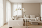 Orquídea blanca en sala moderna