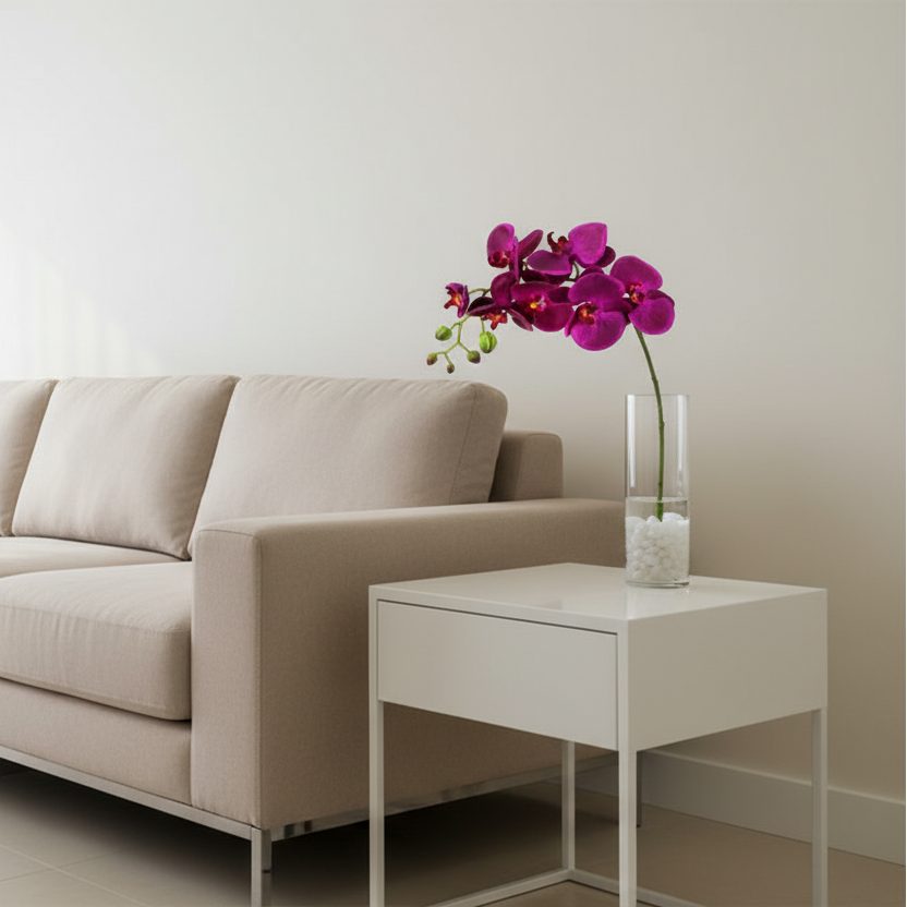 Orquídea morada en sala moderna