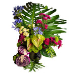 Arreglo Floral Natural Jade – Anturios, Margaritas y Agapantos