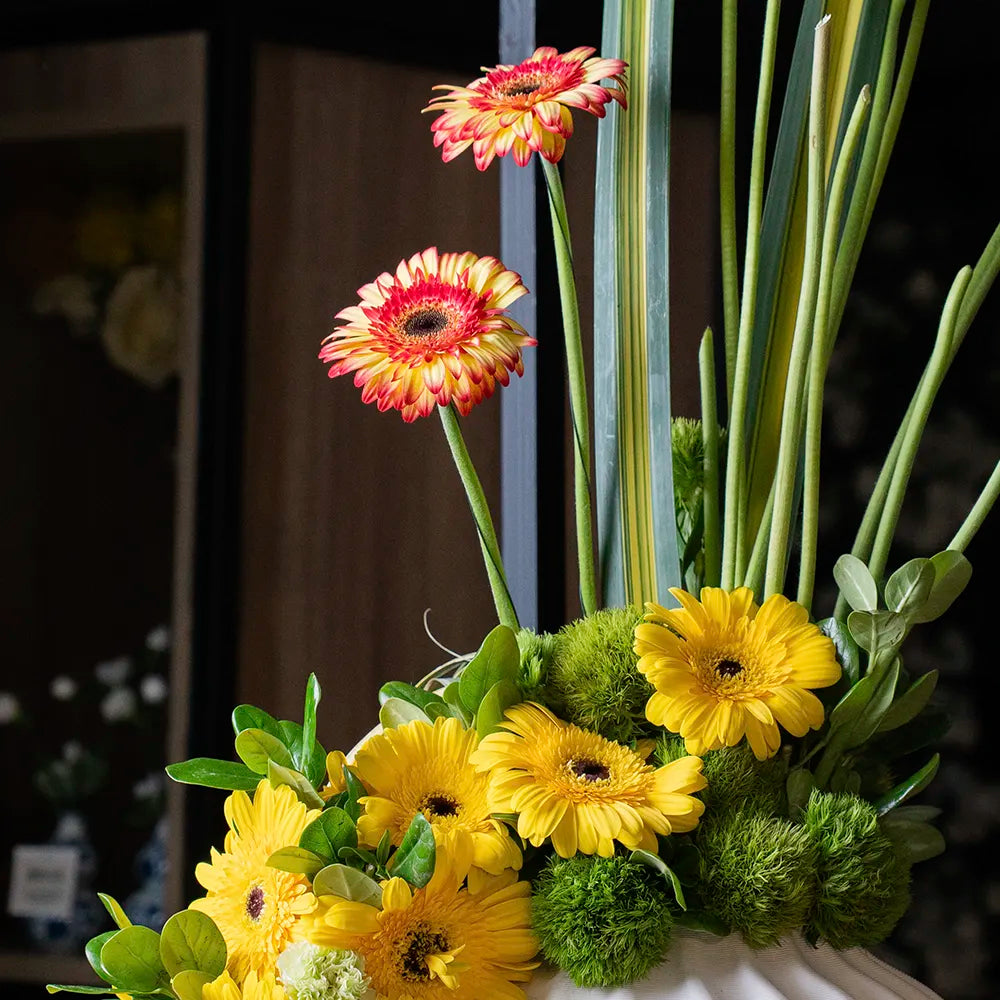 Arreglo Floral Natural Vértice – Gerberas, Green Ball y Pandano Base porcelana 3D