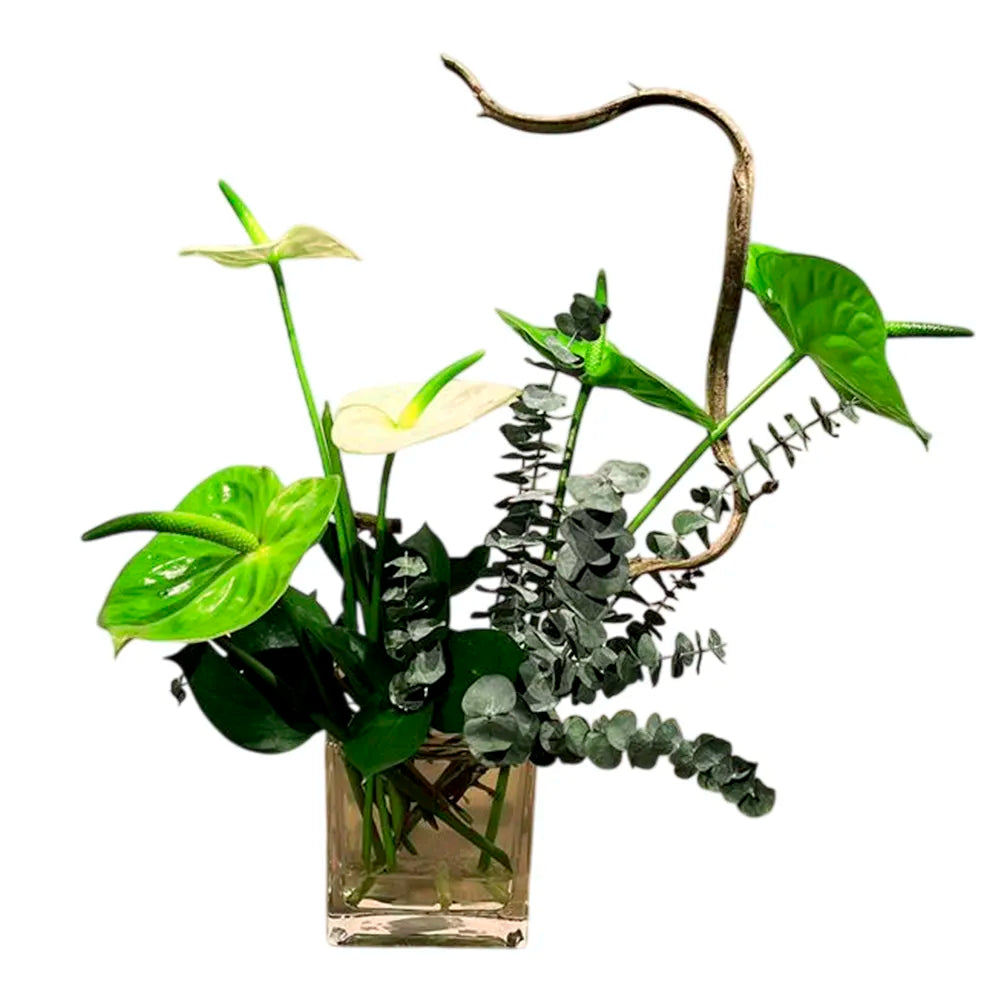 Diseño Floral Zen – Anturios y Brisa de Eucalipto